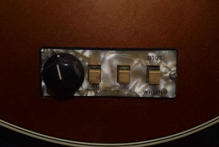 406315-7 Elgitar Höfner & Banjo Marma