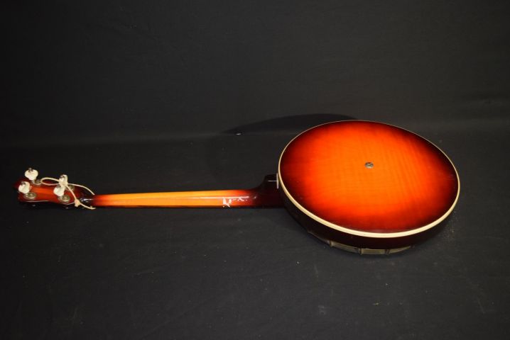 406315-14 Elgitar Höfner & Banjo Marma