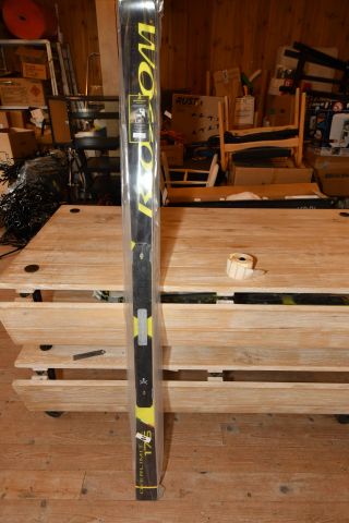 BLOSSOM skis Overlimit FIS 175 - PS Auction - We value the future