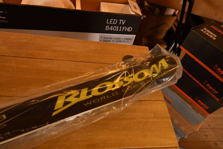 497696-4 BLOSSOM skis Overlimit FIS rules GS 188 (20)
