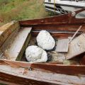 508322-7 Motorboat, Storebro, Solö Ruff, Rep obj