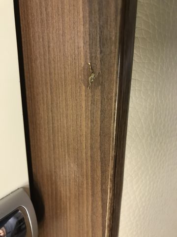 525672-64 Motorhome MC Louis Nevis 876 2014 (EMZ832)