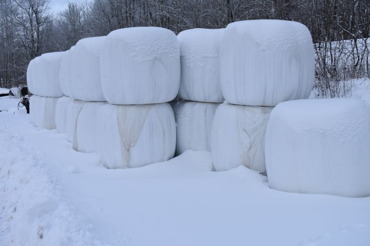 527404-3 OBS! UTGÅTT! Ensilage, 31 st balar