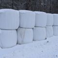 527404-6 OBS! UTGÅTT! Ensilage, 31 st balar