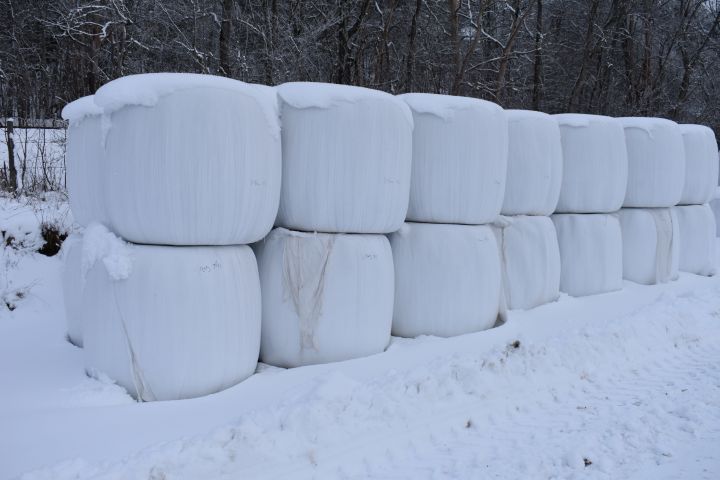 527404-6 OBS! UTGÅTT! Ensilage, 31 st balar