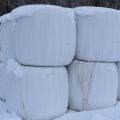 527404-7 OBS! UTGÅTT! Ensilage, 31 st balar