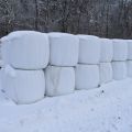 527404-1 OBS! UTGÅTT! Ensilage, 31 st balar