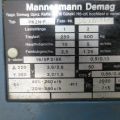 427043-4 Demag counts 500kg