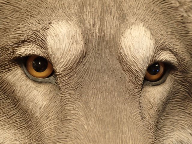 519362-4 Wolf head figurine