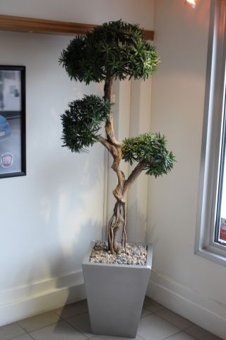 547289-3 Prydnadsväxter 5st