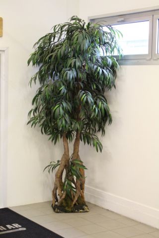 547289-6 Prydnadsväxter 5st