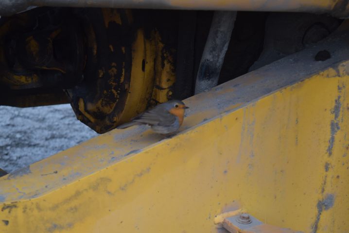563333-60 Wheel loader Volvo L180F -07 incl. bucket