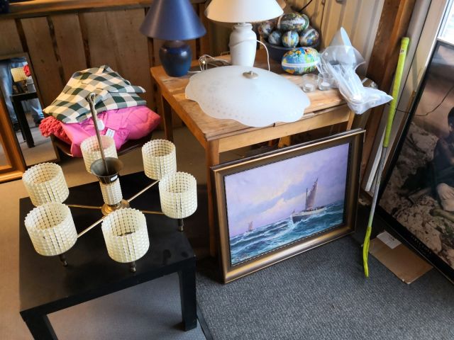 566007-21 Curio shop