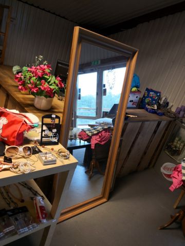 566007-24 Curio shop