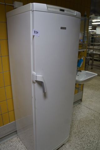 541850-6 Freezer "Electrolux"