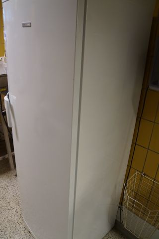 541850-7 Freezer "Electrolux"