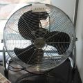 437619-1 Fan Star-fan