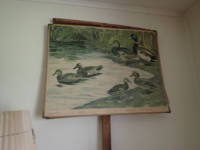 519929-52 Inventarier större dödsbo