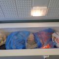 467125-5 Freezer Whirlpool Super
