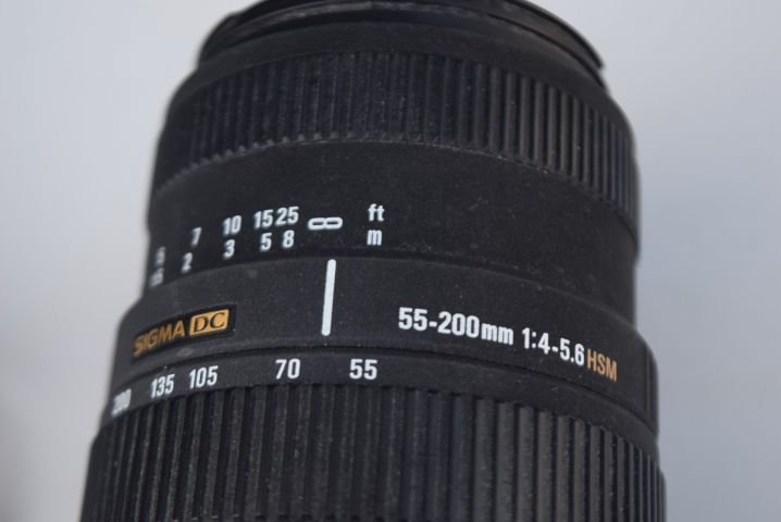 519318-9 Nikon D50, lens Sigma 55-200 mm + camera case Lowepro