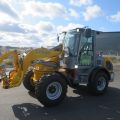 589329-1 Paus swing loader 10.7 -2019