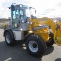 589329-40 Paus swing loader 10.7 -2019