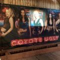560390-1 Coyote Ugly big picture / print 5 x 2.5 meters