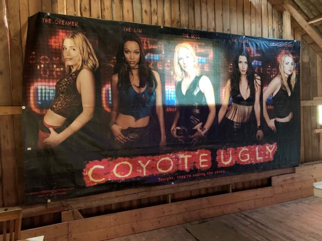 560390-1 Coyote Ugly big picture / print 5 x 2.5 meters