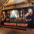 560390-2 Coyote Ugly big picture / print 5 x 2.5 meters