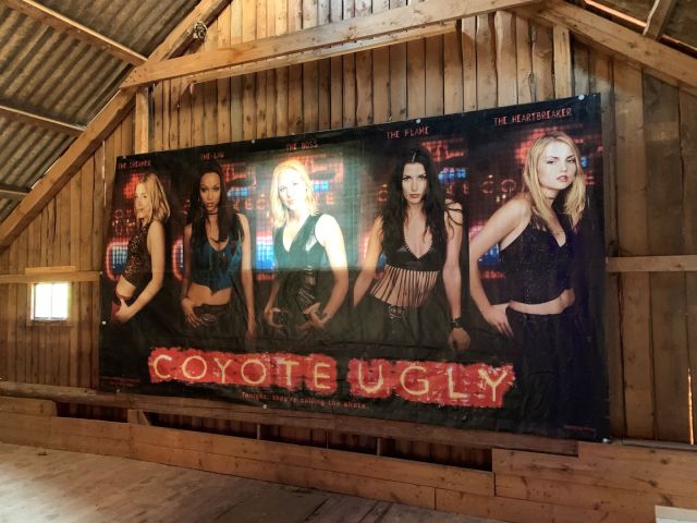 560390-2 Coyote Ugly big picture / print 5 x 2.5 meters