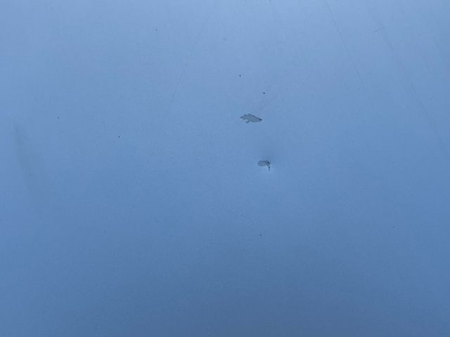 560442-29 Hyundai i30 1.6 CRDi 5 dr, 4450 km, new text about tax