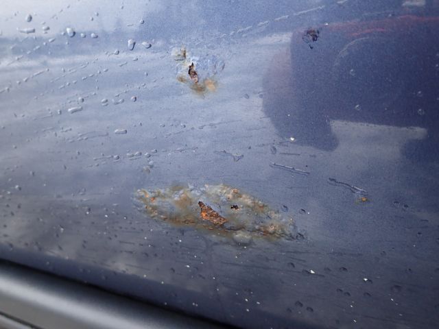 519769-16 Volvo R S60 -00. Reg No: SEA585. Visited until New Year.