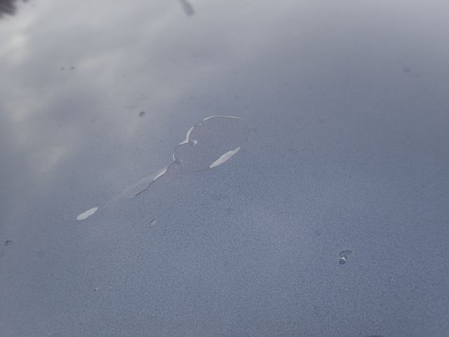 519769-27 Volvo R S60 -00. Reg No: SEA585. Visited until New Year.