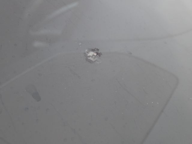 519769-39 Volvo R S60 -00. Reg No: SEA585. Visited until New Year.