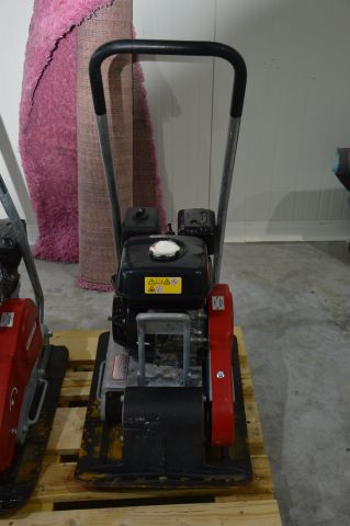 632408-1 Swepac toad F80 - 2019 passed a few hours