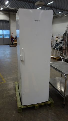 636135-1 Freeze Bosch GSD34N10SD