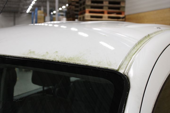 637121-12 Renault Kangoo Passenger 1.6 (106hp, 4360 miles) -10