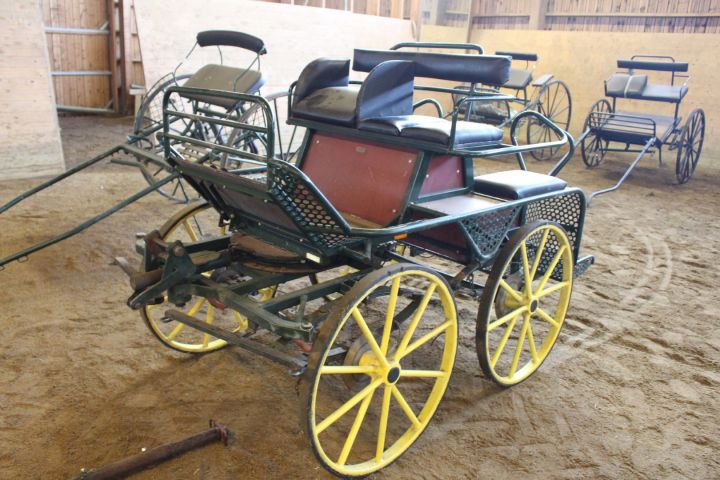 635702-9 Horse carriage, double carriage Tidaholms carts