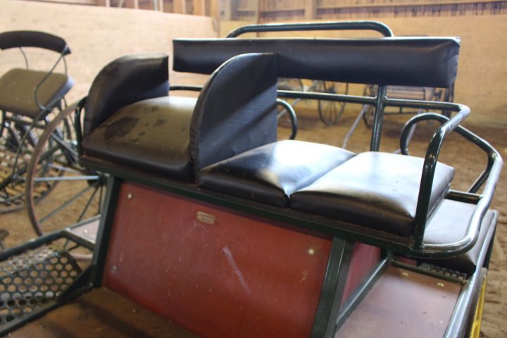 635702-17 Horse carriage, double carriage Tidaholms carts