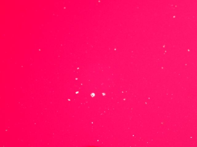 618159-25 VW Passat 1,4 TSI Eco fule -10 Bensin & Gas Reg nr: LNR831