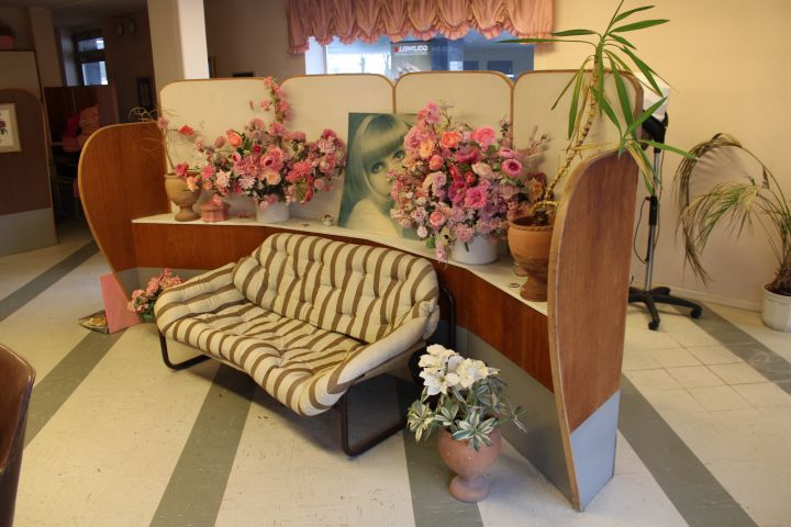 647381-3 Avskärmningsvägg Retro, 60-tal