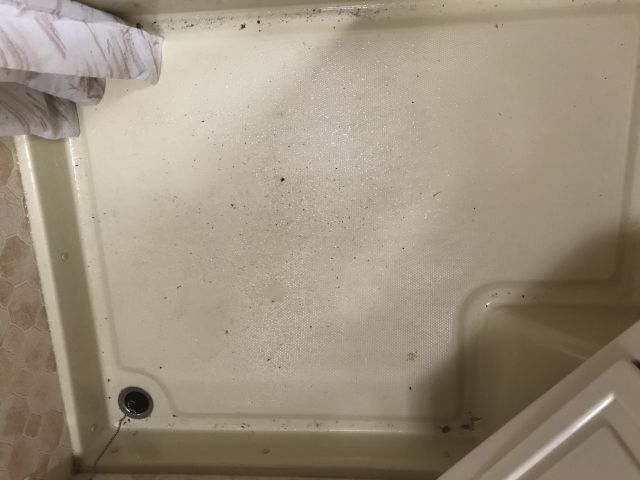 647510-22 Caravan Cabby 590 GLX (NZP 500)