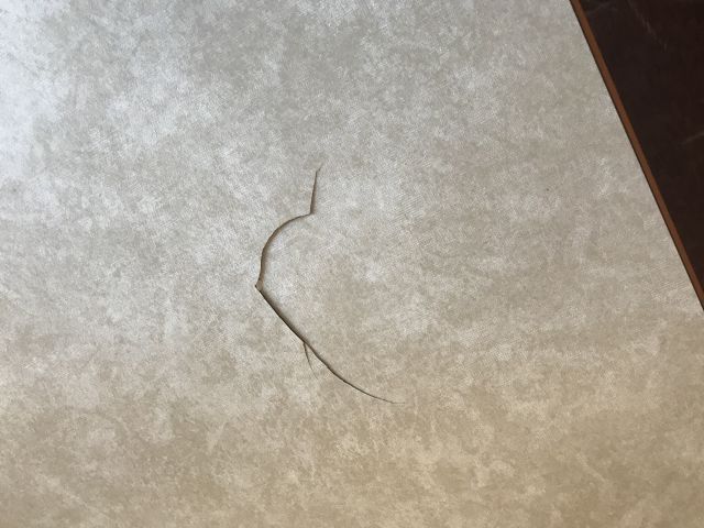 647510-37 Caravan Cabby 590 GLX (NZP 500)