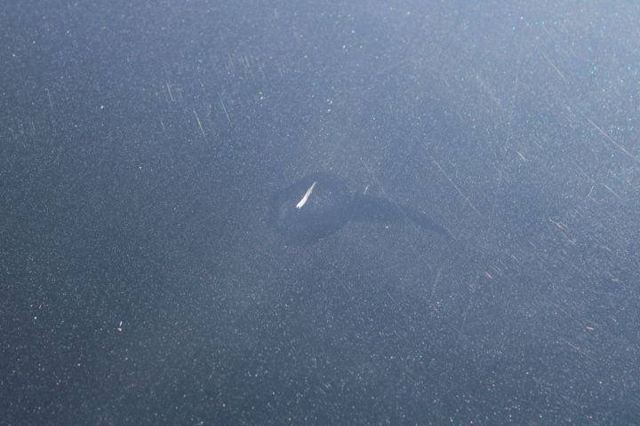 649688-22 Volvo V90 Inscription D4 FWD (13260mil) YGZ 925 -2017