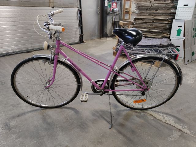 650876-1 Pink lady bike from cresent