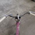 650876-6 Pink lady bike from cresent