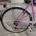 650876-7 Pink lady bike from cresent
