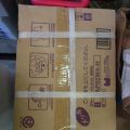 651056-11 Concrete nail tool, MAX HN120, with 11 cardboard nails