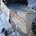 655647-18 CATERPILLAR 303.5ECR -2016 1242 hrs.