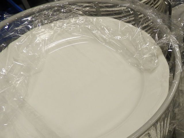 659483-1 100 st Tallrik 24 cm Maria Teresa